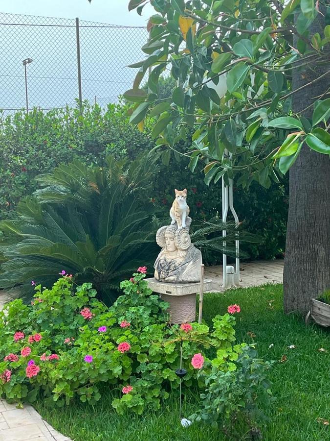 Romantico Wellness Casa Veronica Elche Kültér fotó